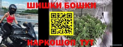 гидропоника Кингисепп