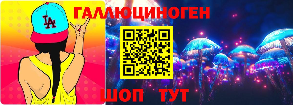 Галлюциногенные грибы Cubensis Горячий Ключ